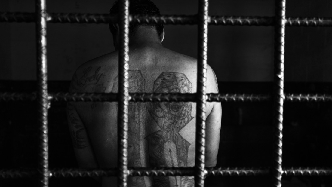 Fondo
