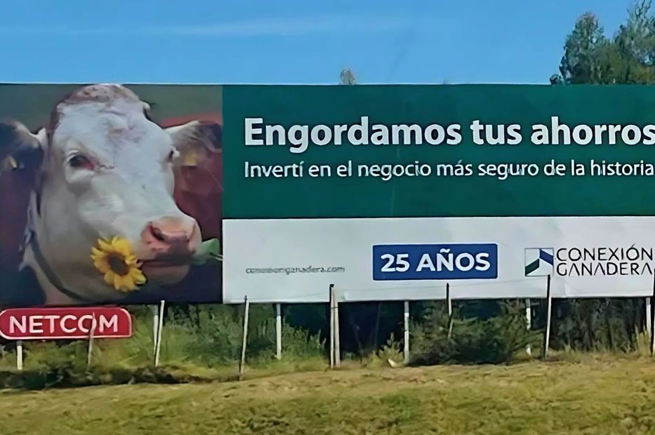 Fondo