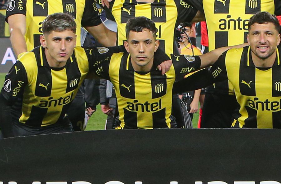 Fondo